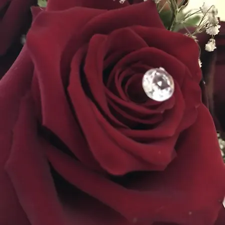 Lady Rose Nocleg ze śniadaniem 2*